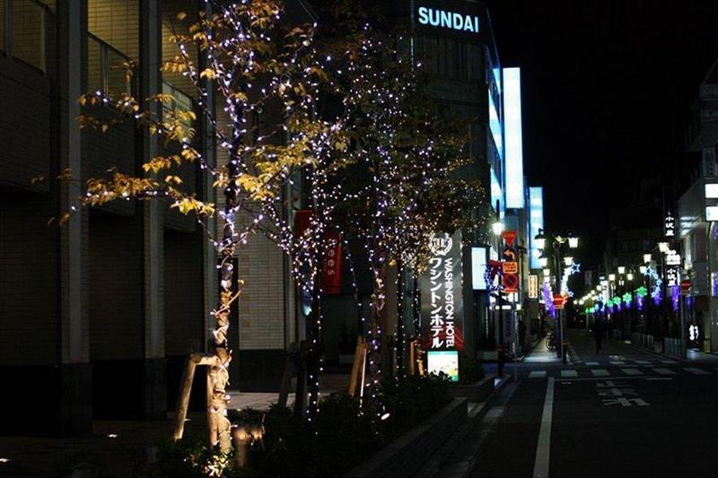 Tachikawa Washington Hotel Dış mekan fotoğraf